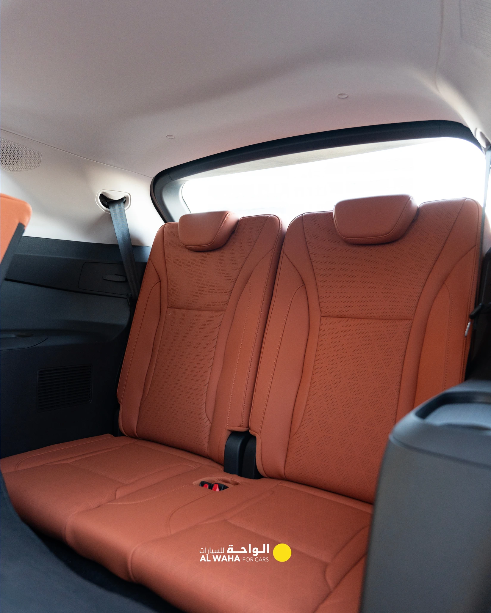 The Perfect Family Car